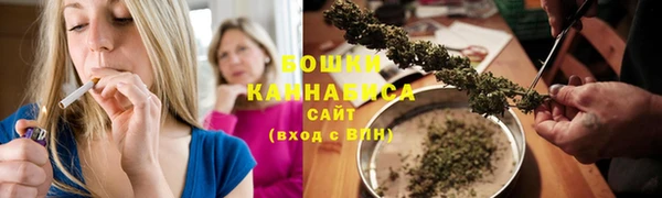 ПСИЛОЦИБИНОВЫЕ ГРИБЫ Баксан