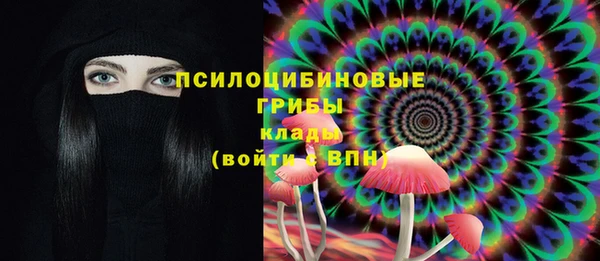 ПСИЛОЦИБИНОВЫЕ ГРИБЫ Баксан