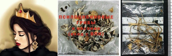 ПСИЛОЦИБИНОВЫЕ ГРИБЫ Баксан