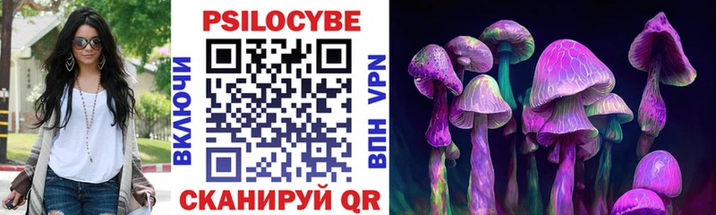 Псилоцибиновые грибы ЛСД  Курчалой 